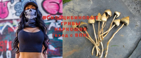 метадон Алексин