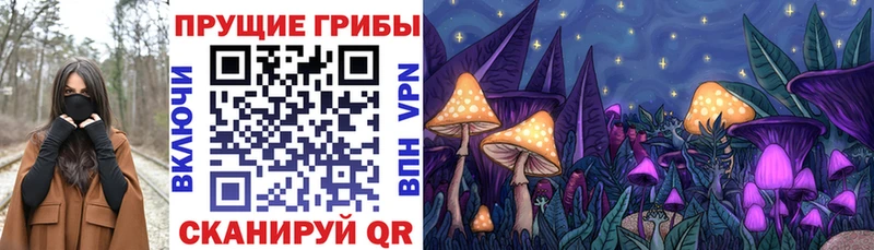 Псилоцибиновые грибы Psilocybine cubensis  Игарка 