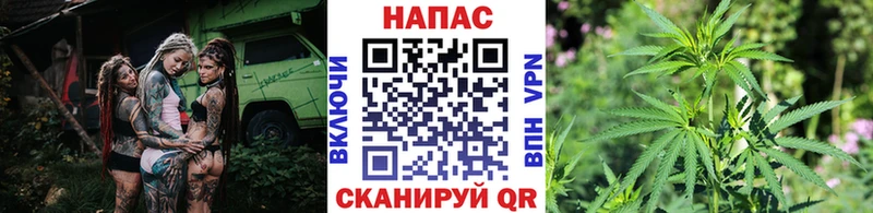 Канабис планчик  наркотики  Игарка 